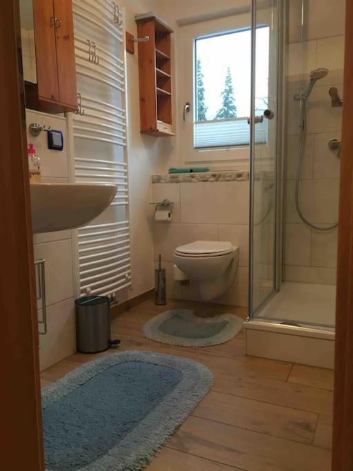 Ferienwohnung Apartment Doppelzimmer In Der Villa Naturpark Rheinblick, Ruhig, Aussicht, Pool Koblenz  Exterior foto