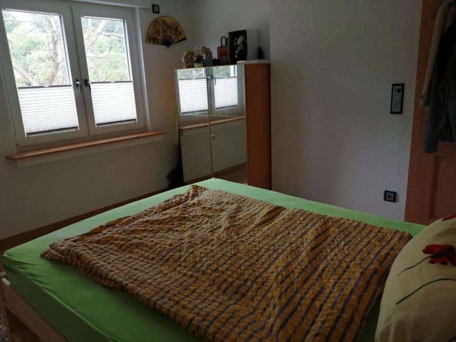 Ferienwohnung Apartment Doppelzimmer In Der Villa Naturpark Rheinblick, Ruhig, Aussicht, Pool Koblenz  Exterior foto