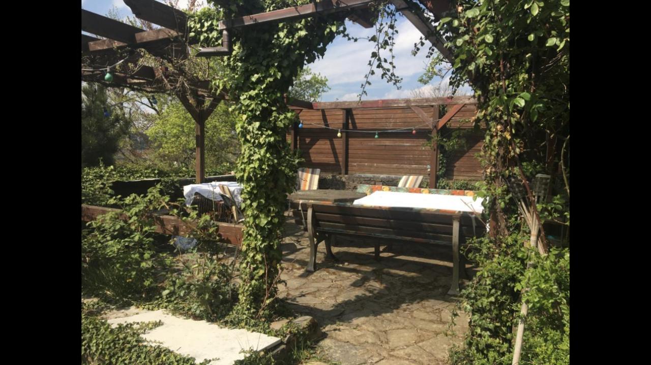 Ferienwohnung Apartment Doppelzimmer In Der Villa Naturpark Rheinblick, Ruhig, Aussicht, Pool Koblenz  Exterior foto